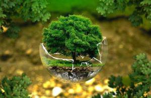 怎樣實施科學(xué)的環(huán)保管理？